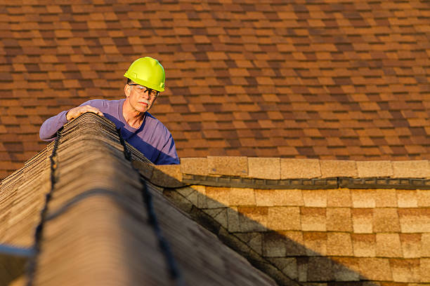 Roof Gutter Cleaning in Hartley, CA